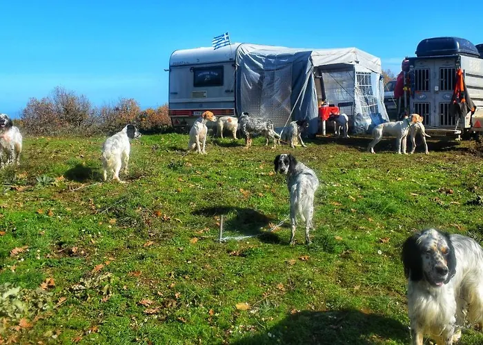 Ξενοδοχείο Mare 3*